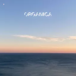 Organica - Dolcemente Elettronica Podcast artwork