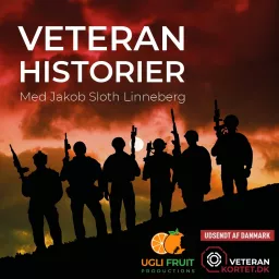 Veteranhistorier Podcast artwork