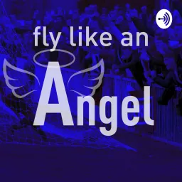 Fly Like An Angel Podcast artwork