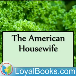 The American Housewife by Anonymous