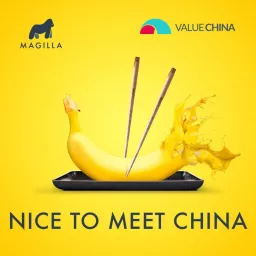 Nice To Meet China Podcast artwork