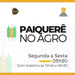 Paiquerê no Agro Podcast artwork