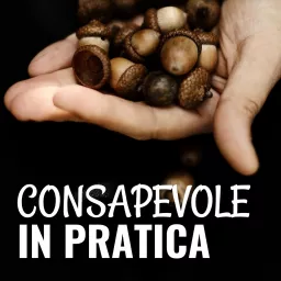 Consapevole in pratica - la mente in meditazione