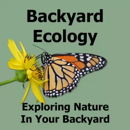 Backyard Ecology Podcast artwork