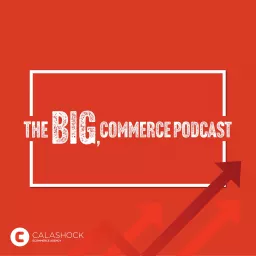 The BIG, commerce Podcast artwork