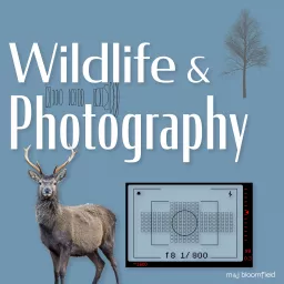 Wildlife and Photography Podcast artwork