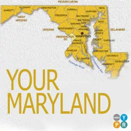 Your Maryland Podcast artwork