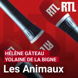 Les animaux Podcast artwork