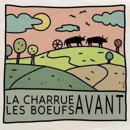 La charrue avant les boeufs !