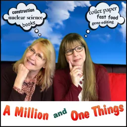 A Million and One Things Podcast artwork