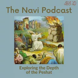 The Navi Podcast artwork