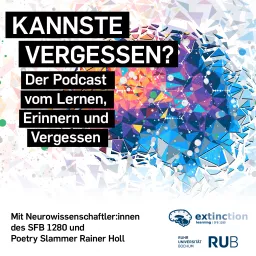 Kannste Vergessen? – Der Podcast vom Lernen, Vergessen und Erinnern artwork