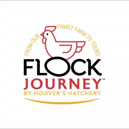 Flock Journey Podcast artwork
