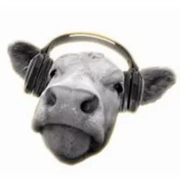 Cows, Not Cow - How To Make Your Networking Really Work! Podcast artwork