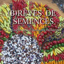 (B)rèves de semences