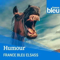 La Pépite des Journaux Rhénans - France Bleu Elsass