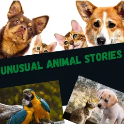 Unusual Animal Stories Podcast artwork