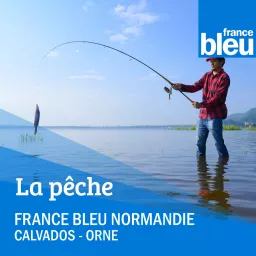 La chronique pêche FB Normandie (Caen)