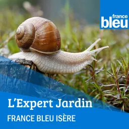 L'expert jardin, Jacques Ginet - France Bleu Isère Podcast artwork