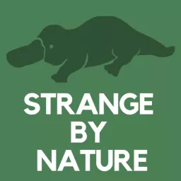 Strange by Nature Podcast artwork