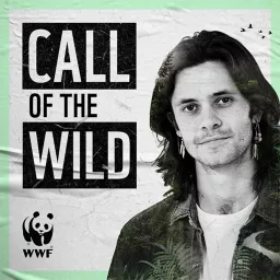 Call Of The Wild Podcast artwork