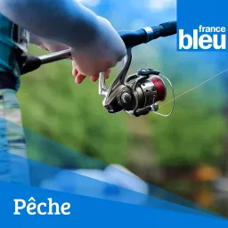 La pêche, au fil de l'eau