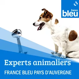 Les experts animaliers