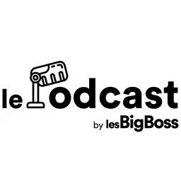 Podcast lesBigBoss artwork