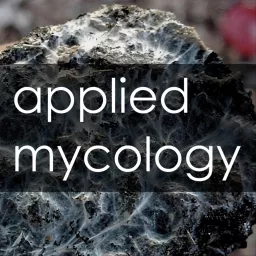 Applied Mycology Podcast artwork