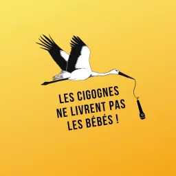 Les Cigognes ne livrent pas les bébés