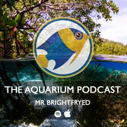 The Aquarium Podcast (Mr Brightfryed) artwork