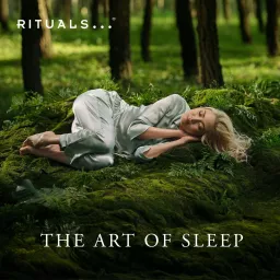 The Art of Sleep Podcast artwork