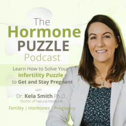 The Hormone Puzzle Podcast - Learn How to Solve Your Infertility Puzzle to Get and Stay Pregnant artwork