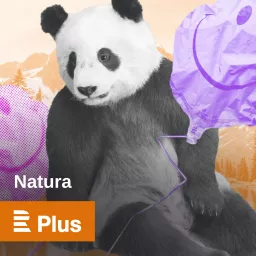 Natura Podcast artwork