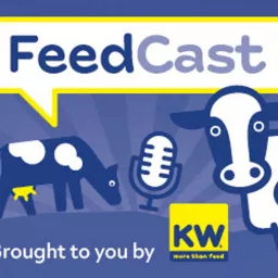 KW FeedCast Podcast artwork