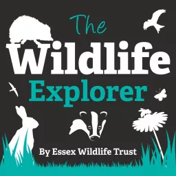 The Wildlife Explorer Podcast artwork