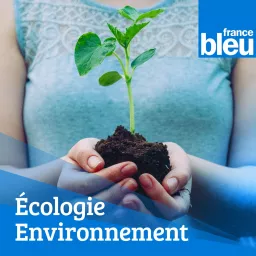 La plante du jour France Bleu Besançon Podcast artwork