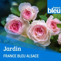 L'expert jardin en Alsace