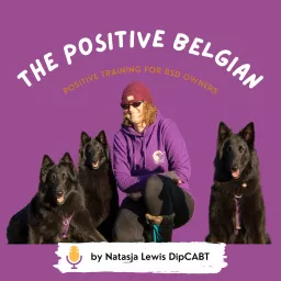 The Positive Belgian Podcast artwork