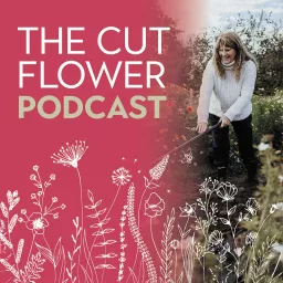 Cut Flower Farming - Growth and Profit in Your Business is renamed The Cut Flower Podcast artwork