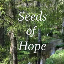 Seeds of Hope: Talks and Homilies by Fr. Mike Muhr Podcast artwork