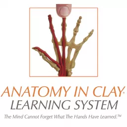 Anatomy in Clay® Learning System Podcast artwork