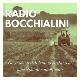 Radio Bocchialini Podcast artwork