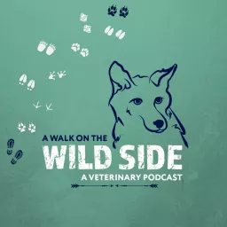 A Walk on the Wild Side: A Veterinary Podcast artwork