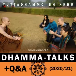Dhamma / Q&A Podcast artwork