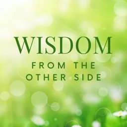 Wisdom From The Other Side Of Recovery from Fibromyalgia, ME, CFS, POTS & MCS Podcast artwork