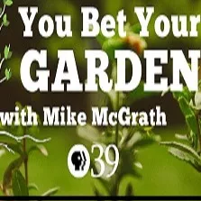 You Bet Your Garden Podcast artwork