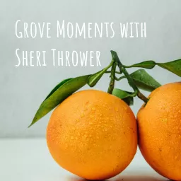 Grove Moments with Sheri Thrower Podcast artwork
