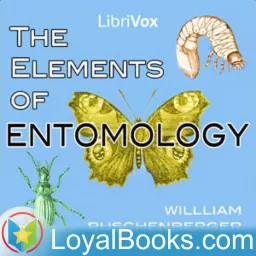 The Elements of Entomology by William Ruschenberger Podcast artwork