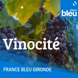 Vinocité